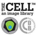 The CELL: an image library